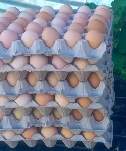 Large (60g): R180(15 Dozen = 180 eggs per carton)