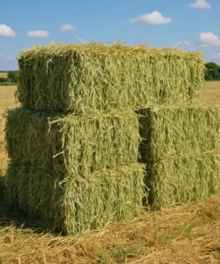 Oats Hay For Sale