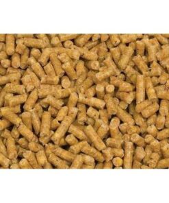 Sheep Maintenance Feed For Sale