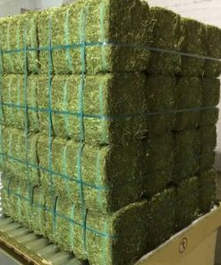 Lucerne Bales For Sale